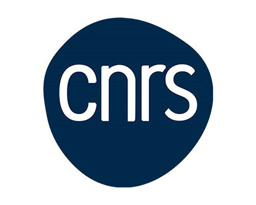 logo-cnrs Logo CNRS