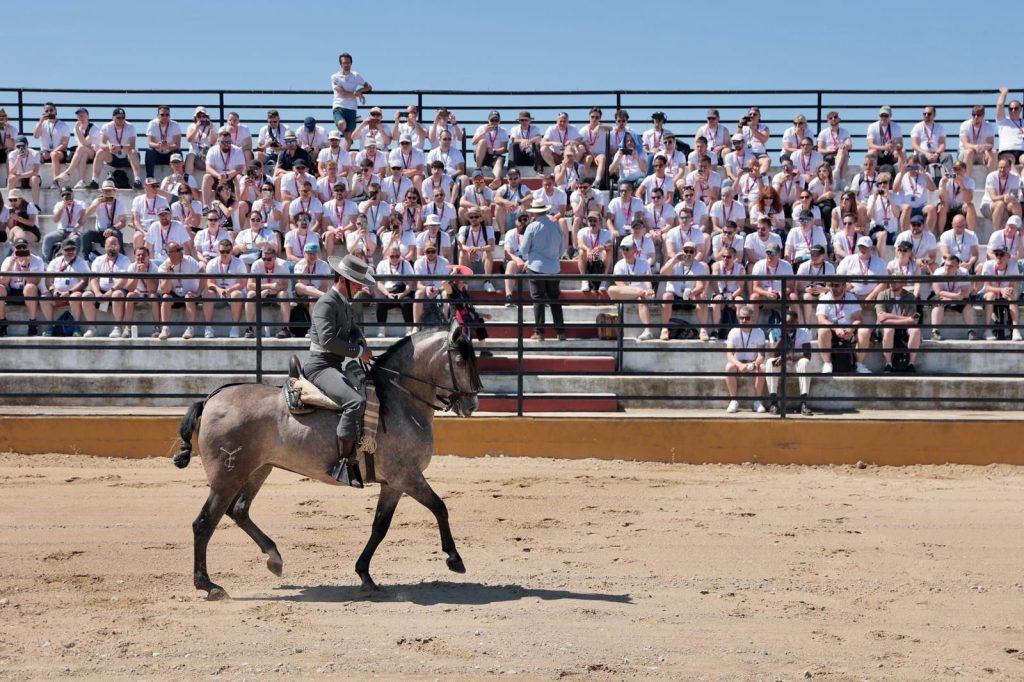 seville-chevaux-evenement-seville Animation chevaux séminaire Séville